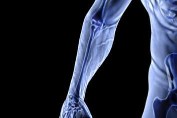 Online Anatomy and Physiology Course (QQI Level 5)